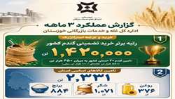 خوزستان، رتبه برتر خرید تضمینی گندم در  بین 31 استان کشور / گندم خوزستان به 20 استان کشور ارسال می‌شود